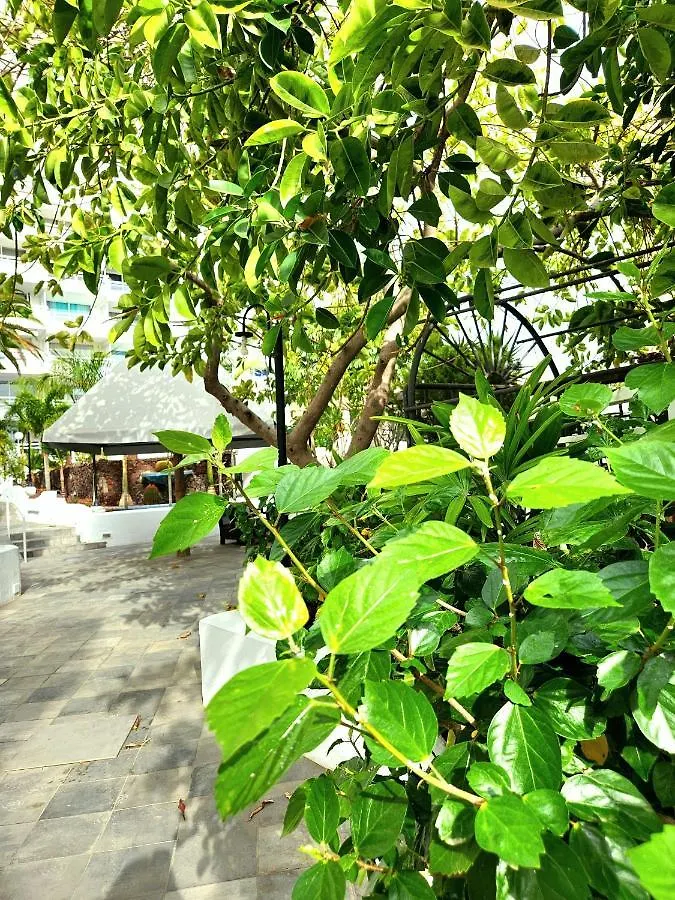 Modern Pool Front Apartment In Las Americas Playa de las Americas