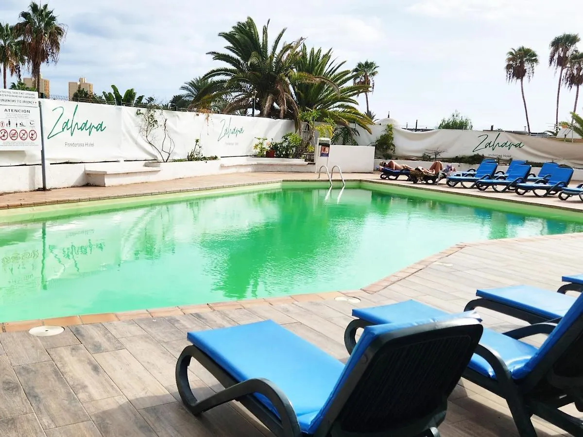 Modern Pool Front Apartment In Las Americas Playa de las Americas  Spagna