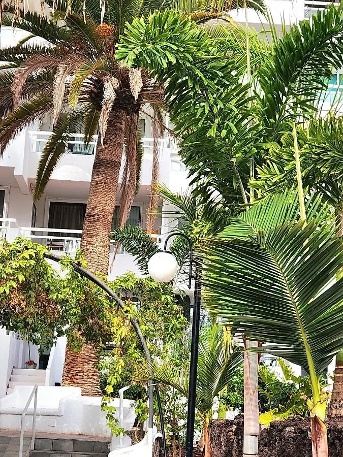 Modern Pool Front Apartment In Las Americas Playa de las Americas